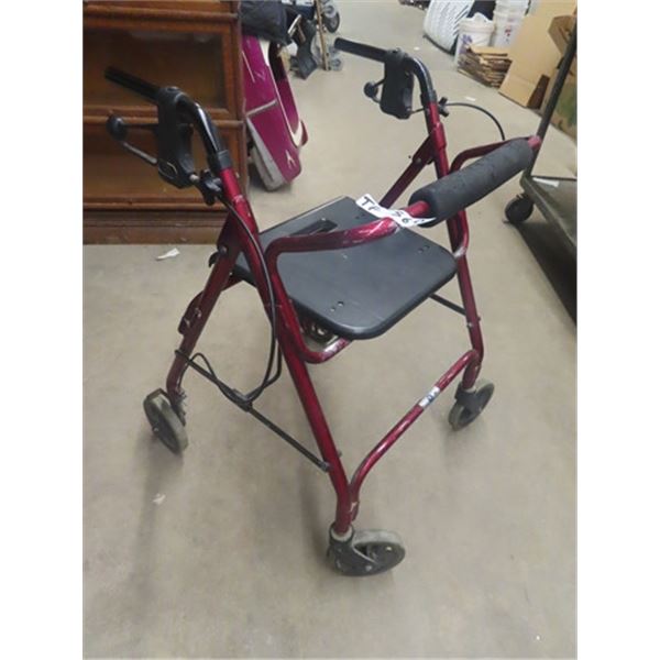 Dana Douglas Medi Walker with Basket