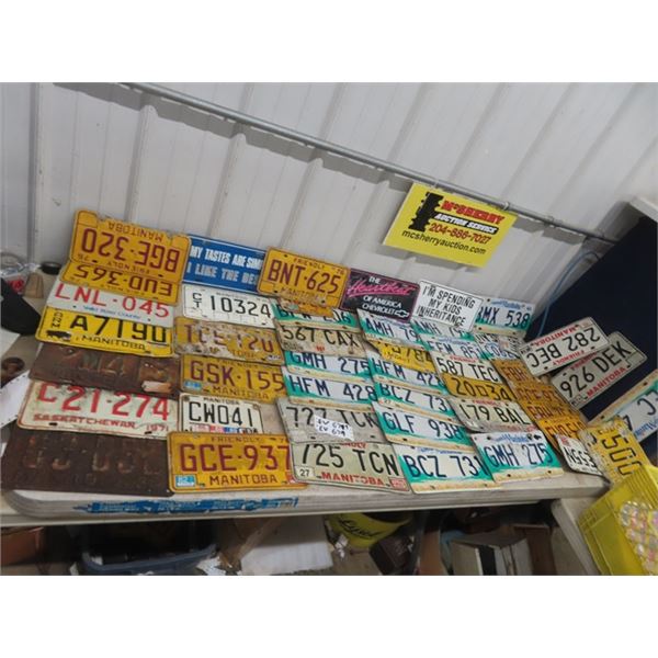 Approximately 50 License Plates
