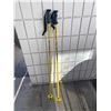 Image 1 : Ski poles