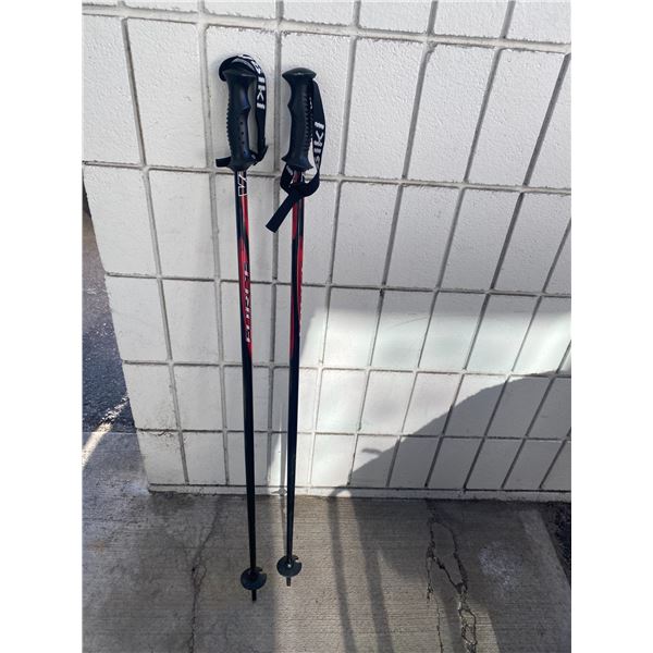Ski poles