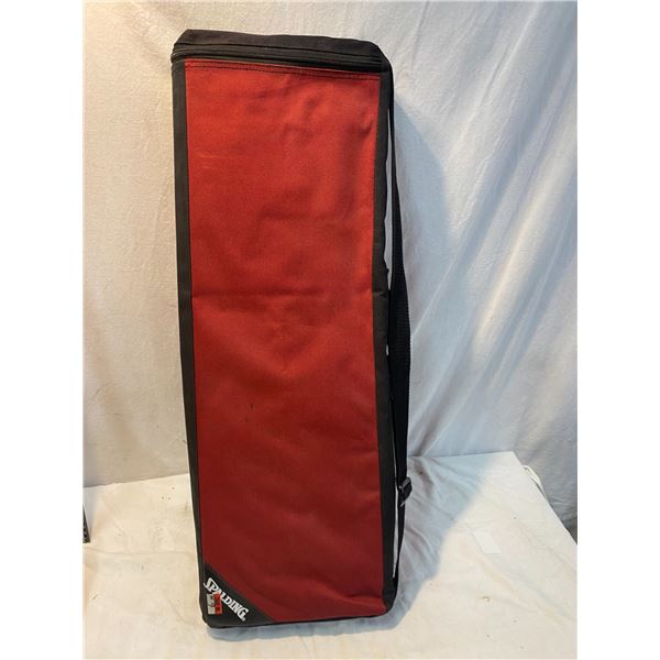 Badminton racquets and case