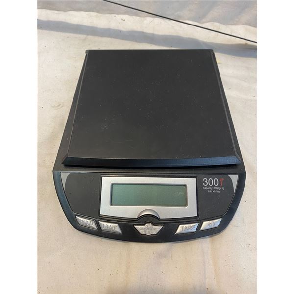 Scale needs batteries