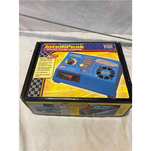 Deluxe pulse charger