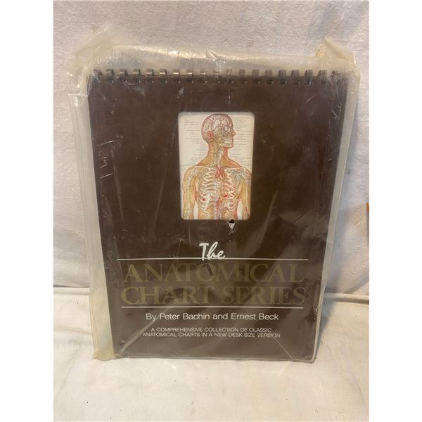 The Anatomical chart series