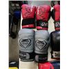 Image 2 : BAG OF BOXING GLOVES - VENUM, RIVAL AND SELECT 16 OZ SPARRING GLOVES