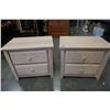 Image 1 : PAIR OF 2 DRAWER NIGHTSTANDS