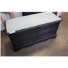 Image 1 : VINTAGE BLACK STORAGE BENCH