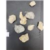 Image 2 : Small Lot of Collectible Fossils