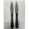 Image 2 : Set of 2 Throwing Knives in Sheath