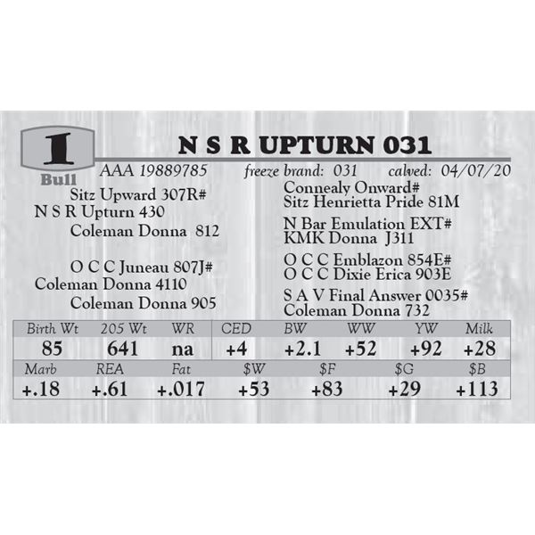N S R UPTURN 031