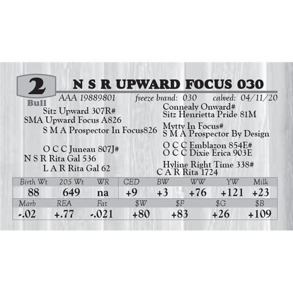 N S R UPWARD FOCUS 030