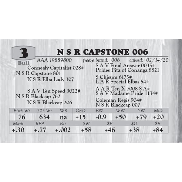 N S R CAPSTONE 006