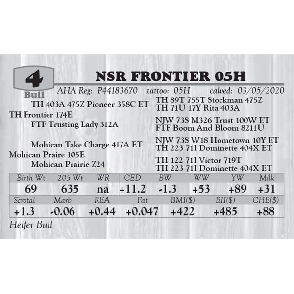 NSR FRONTIER 05H