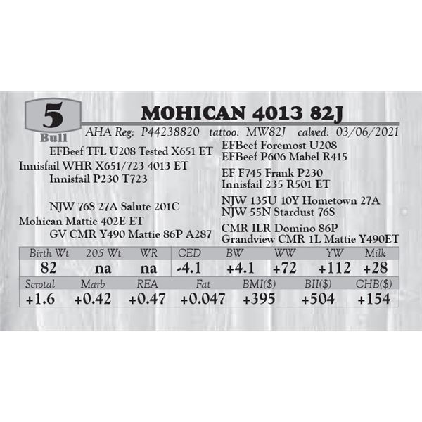 MOHICAN 4013 82J
