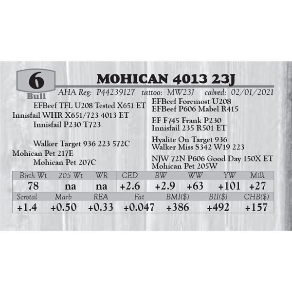 MOHICAN 4013 23J