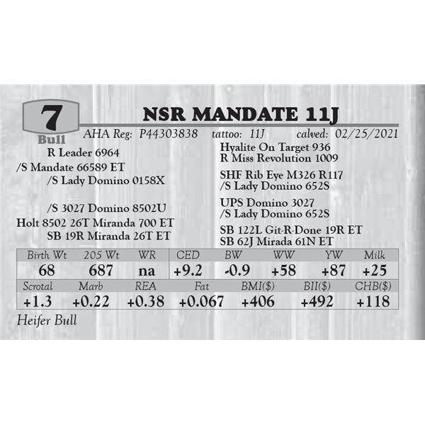 NSR MANDATE 11J