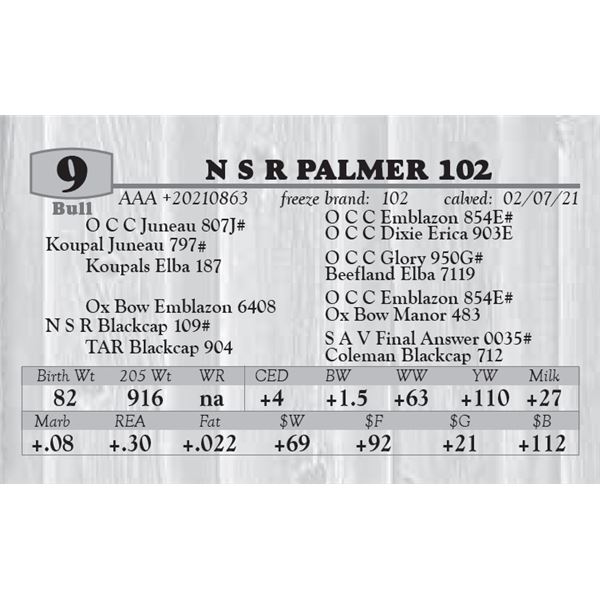 N S R PALMER 102