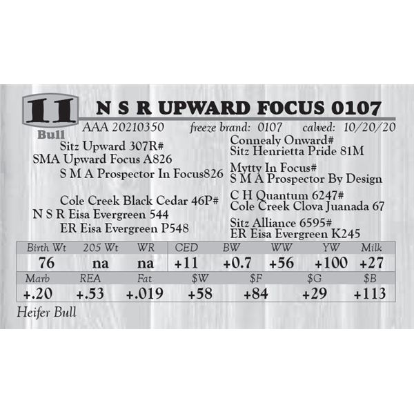 N S R UPWARD FOCUS 0107