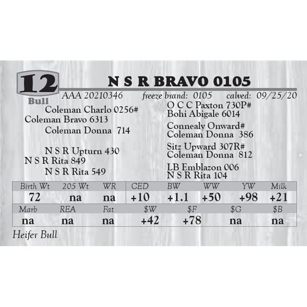 N S R BRAVO 0105