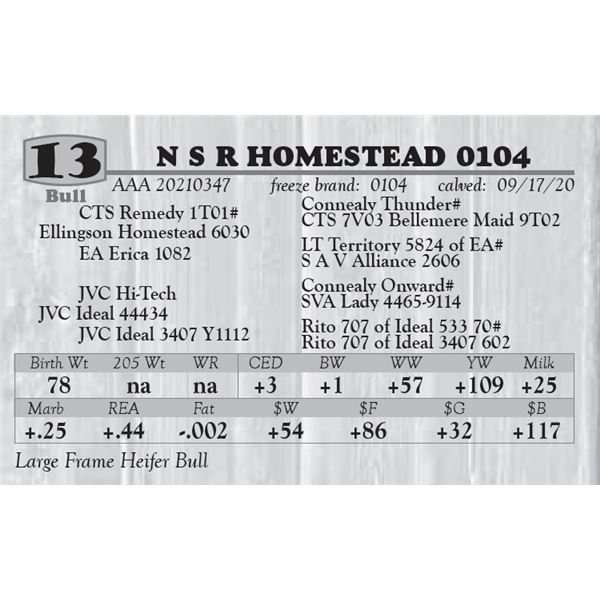 N S R HOMESTEAD 0104