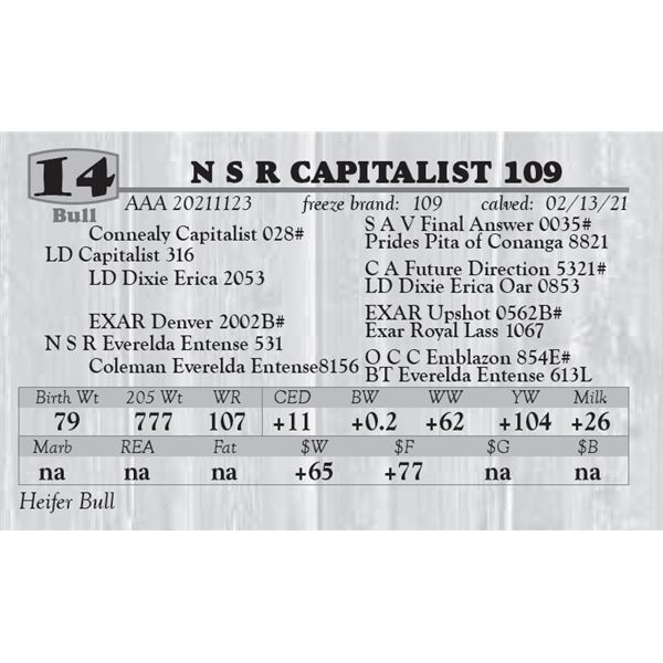 N S R CAPITALIST 109