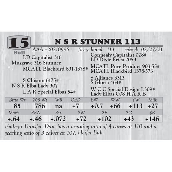 N S R STUNNER 113