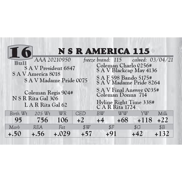 N S R AMERICA 115