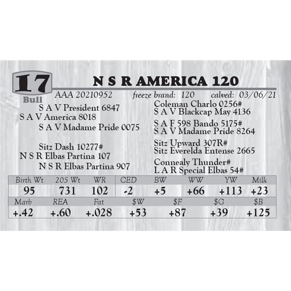 N S R AMERICA 120