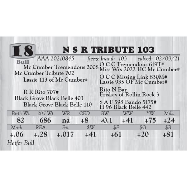 N S R TRIBUTE 103