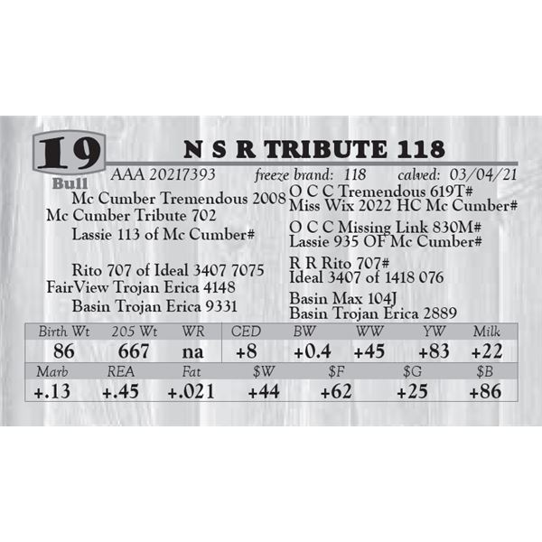 N S R TRIBUTE 118