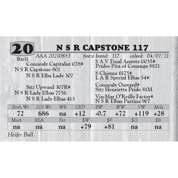 N S R CAPSTONE 117