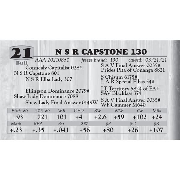 N S R CAPSTONE 130