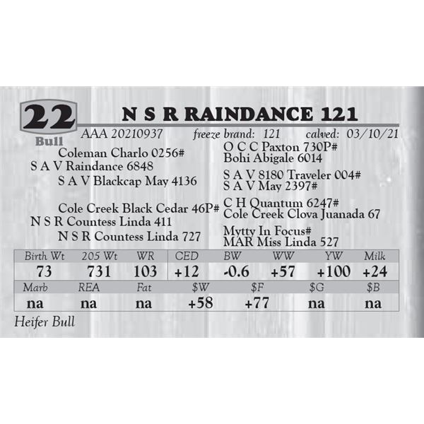 N S R RAINDANCE 121
