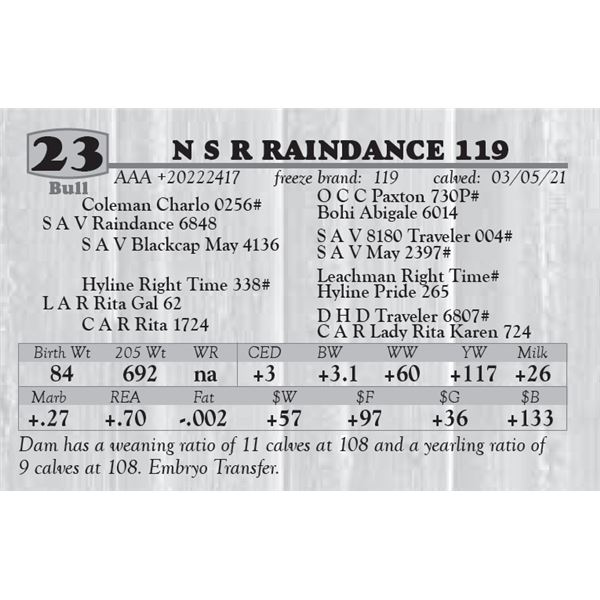N S R RAINDANCE 119