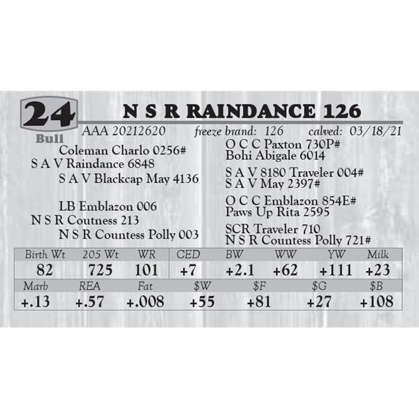 N S R RAINDANCE 126