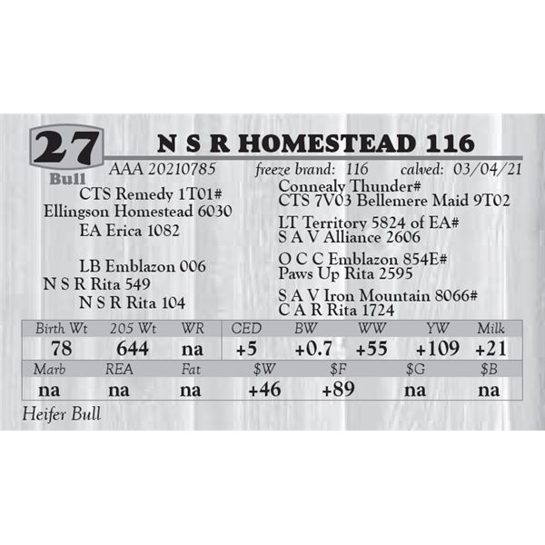N S R HOMESTEAD 116