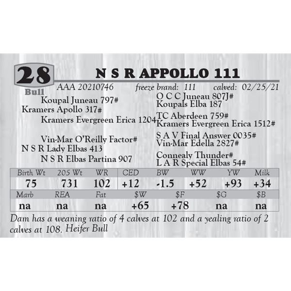 N S R APPOLLO 111