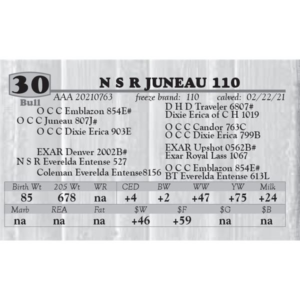 N S R JUNEAU 110