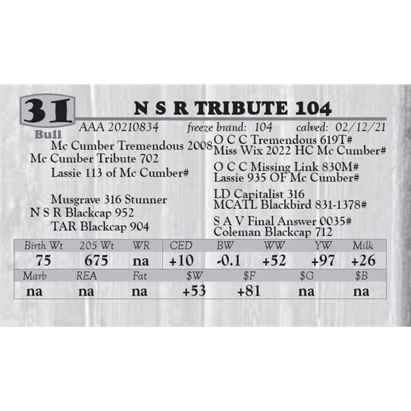 N S R TRIBUTE 104