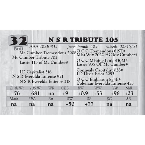 N S R TRIBUTE 105
