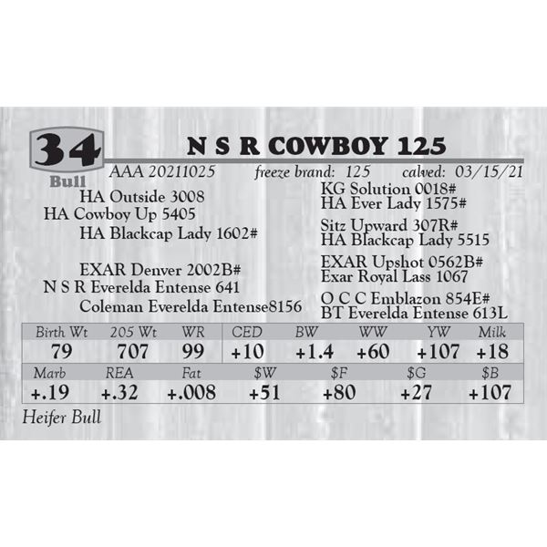 N S R COWBOY 125