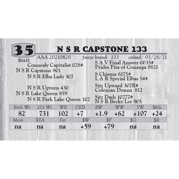 N S R CAPSTONE 133