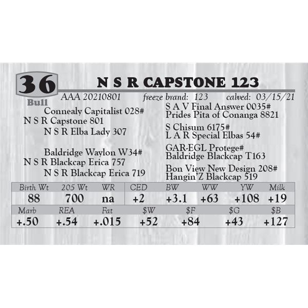 N S R CAPSTONE 123