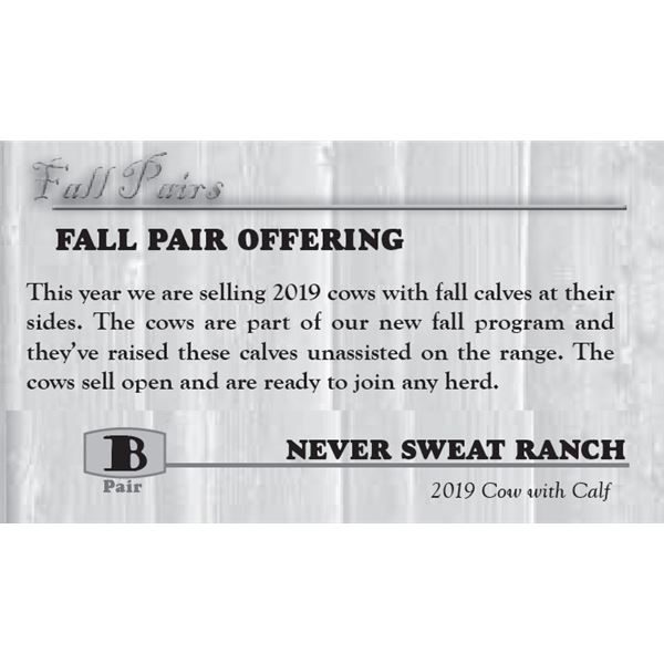 FALL PAIR OFFERING