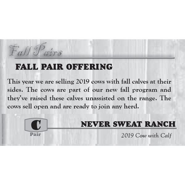 FALL PAIR OFFERING