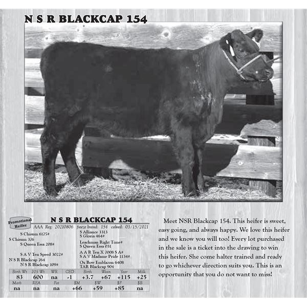Raffle Heifer