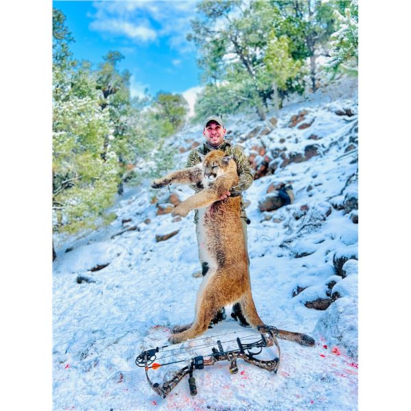 5 Day Hunt for a 1x1 Guided Trophy Mountain Lion Hunt in Utah Donated by: Pine Valley Outfitters Val