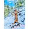 Image 1 : 5 Day Hunt for a 1x1 Guided Trophy Mountain Lion Hunt in Utah Donated by: Pine Valley Outfitters Val