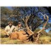 Image 1 : La Pampa, Argentina 7 day rifle free range Red Stag Hunt for one hunter. Hunt Valid "March 1 -May 30