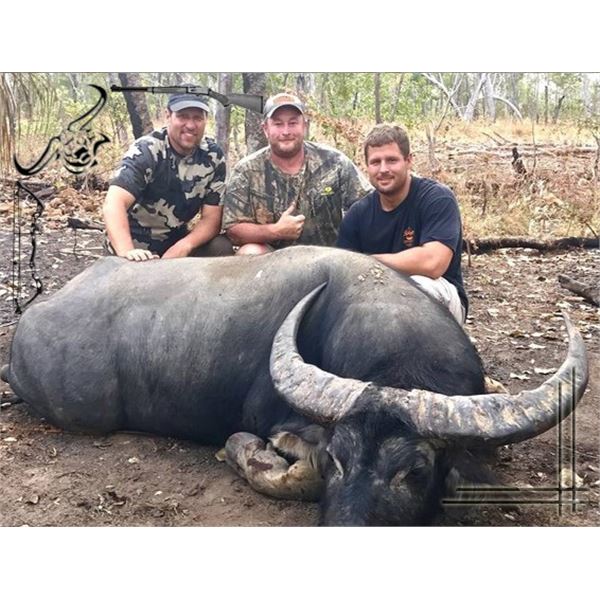 5 Day Banteng Hunt in Australia on the Coburg Peninsula with outfitter Aaron Corbett from Australian